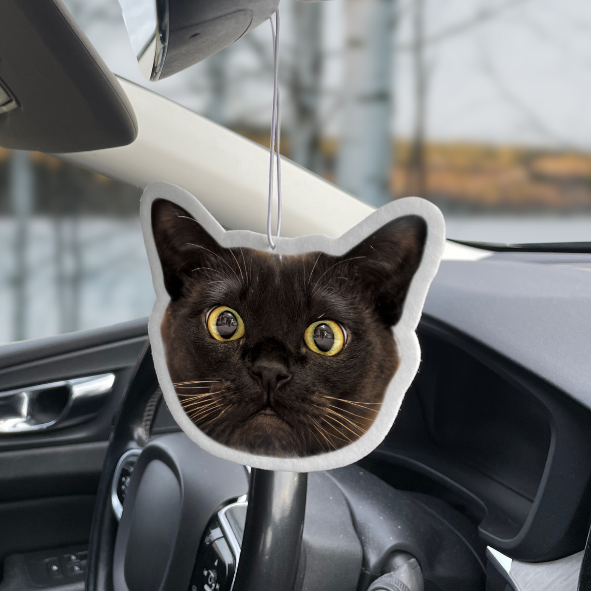 Custom Air Freshener